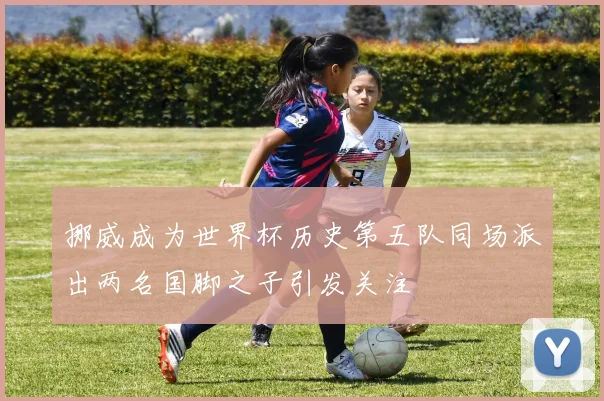挪威成为世界杯历史第五队同场派出两名国脚之子引发关注