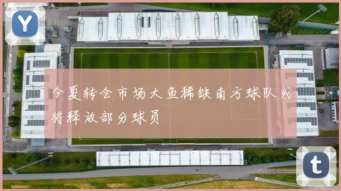 今夏转会市场大鱼稀缺南方球队或将释放部分球员