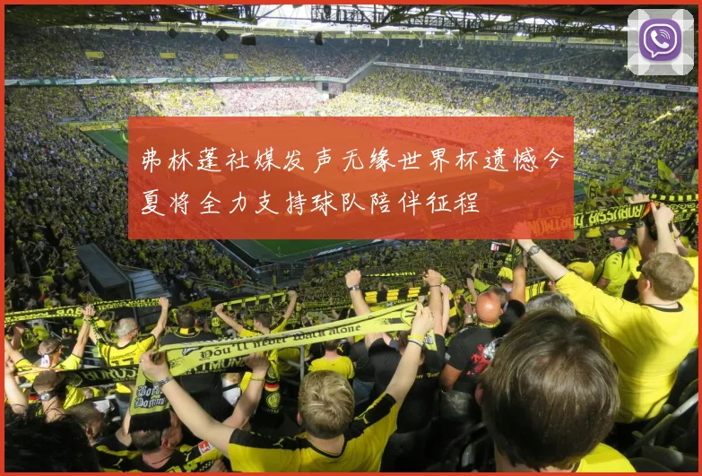 弗林蓬社媒发声无缘世界杯遗憾今夏将全力支持球队陪伴征程