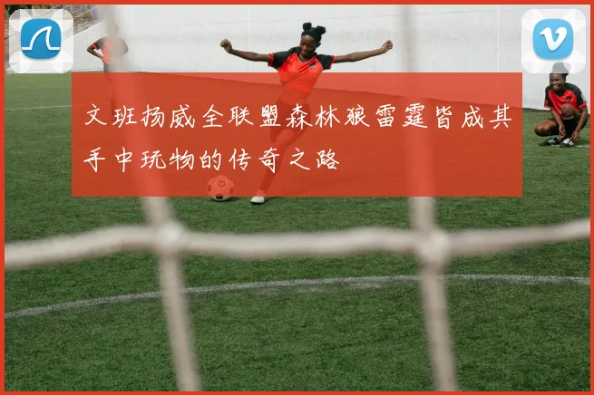 文班扬威全联盟森林狼雷霆皆成其手中玩物的传奇之路