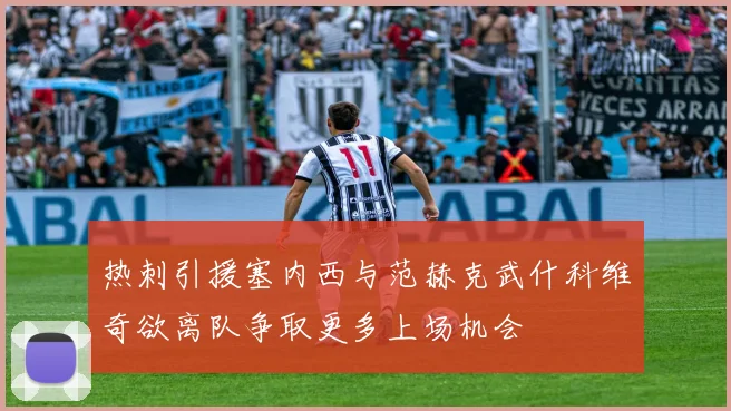 热刺引援塞内西与范赫克武什科维奇欲离队争取更多上场机会