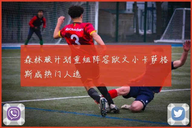森林狼计划重组阵容欧文小卡萨格斯成热门人选